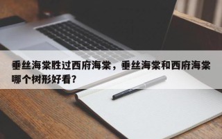 垂丝海棠胜过西府海棠，垂丝海棠和西府海棠哪个树形好看？