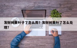 发财树黄叶子了怎么弄？发财树黄叶了怎么处理？