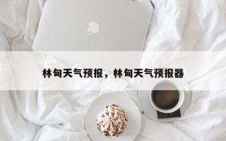 林甸天气预报，林甸天气预报器