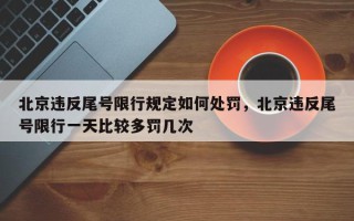 北京违反尾号限行规定如何处罚，北京违反尾号限行一天比较多罚几次