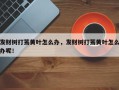 发财树打蔫黄叶怎么办，发财树打蔫黄叶怎么办呢！