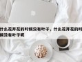 什么花开花的时候没有叶子，什么花开花的时候没有叶子呢