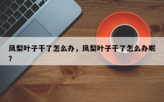 凤梨叶子干了怎么办，凤梨叶子干了怎么办呢？