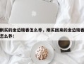 刚买的金边瑞香怎么养，刚买回来的金边瑞香怎么养！