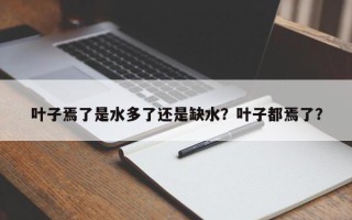 叶子焉了是水多了还是缺水？叶子都焉了？