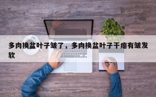 多肉换盆叶子皱了，多肉换盆叶子干瘪有皱发软