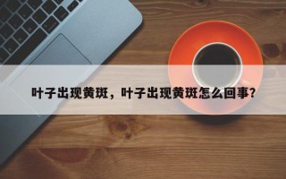 叶子出现黄斑，叶子出现黄斑怎么回事？