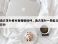 南方落叶乔木有哪些树种，南方落叶一般在几月份