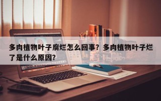 多肉植物叶子腐烂怎么回事？多肉植物叶子烂了是什么原因？