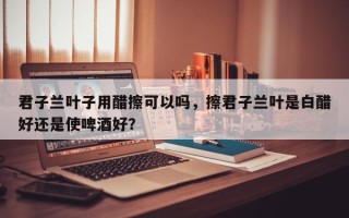 君子兰叶子用醋擦可以吗,擦君子兰叶是白醋好还是使啤酒好? 君子兰叶子用醋擦可以吗,擦君子兰叶是白醋好还是使啤酒好?