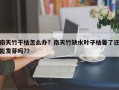南天竹干枯怎么办？南天竹缺水叶子枯萎了还能发芽吗?？