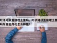 叶子可以直接埋土里吗，叶子可以直接埋土里吗东北牡丹花怎么种植！