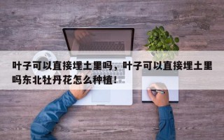 叶子可以直接埋土里吗，叶子可以直接埋土里吗东北牡丹花怎么种植！