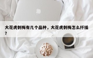大花虎刺梅有几个品种，大花虎刺梅怎么扦插？