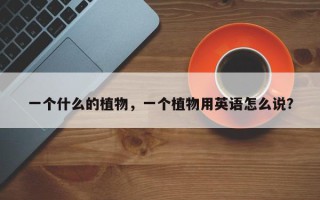 一个什么的植物，一个植物用英语怎么说？