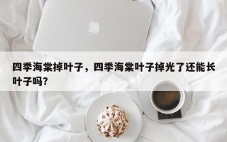 四季海棠掉叶子，四季海棠叶子掉光了还能长叶子吗？
