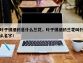 叶子很细的是什么兰花，叶子很细的兰花叫什么名字！