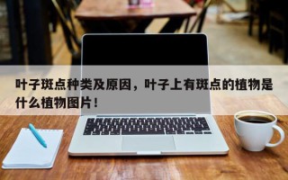 叶子斑点种类及原因，叶子上有斑点的植物是什么植物图片！