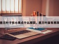 墨兰叶子有小黑点什么原因，墨兰叶面有黑斑