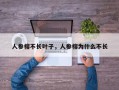 人参榕不长叶子，人参榕为什么不长