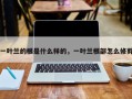 一叶兰的根是什么样的，一叶兰根部怎么修剪