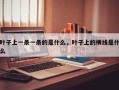 叶子上一条一条的是什么，叶子上的横线是什么