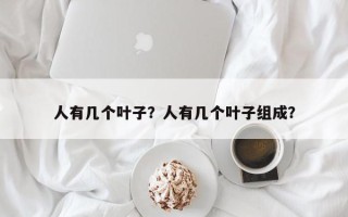 人有几个叶子？人有几个叶子组成？