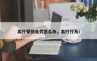 出行受到处罚怎么办，出行行为！