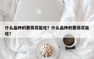 什么品种的蔷薇花能吃？什么品种的蔷薇花能吃？