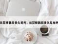 兰花移栽后多久见光，兰花移栽后多久见光啊