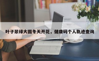 叶子翠绿大圆冬天开花，健康码个人轨迹查询