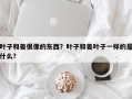 叶子和姜很像的东西？叶子和姜叶子一样的是什么？