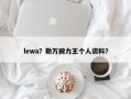 lewa？勒万腕力王个人资料？