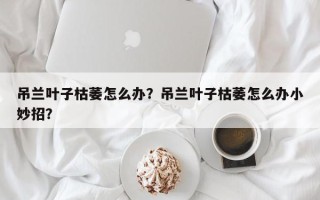 吊兰叶子枯萎怎么办？吊兰叶子枯萎怎么办小妙招？