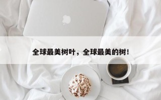 全球最美树叶，全球最美的树！