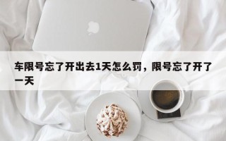 车限号忘了开出去1天怎么罚，限号忘了开了一天