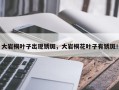 大岩桐叶子出现锈斑，大岩桐花叶子有锈斑！