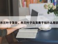 吊兰叶子发白，吊兰叶子尖发黄干枯什么原因