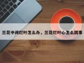 兰花中间烂叶怎么办，兰花烂叶心怎么回事