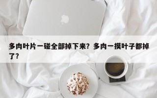 多肉叶片一碰全部掉下来？多肉一摸叶子都掉了？