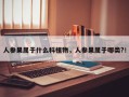 人参果属于什么科植物，人参果属于哪类?！