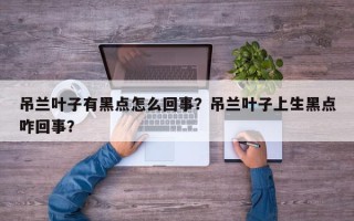 吊兰叶子有黑点怎么回事？吊兰叶子上生黑点咋回事？