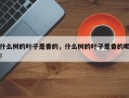 什么树的叶子是香的，什么树的叶子是香的呢！