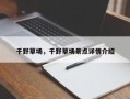 千野草场，千野草场景点详情介绍