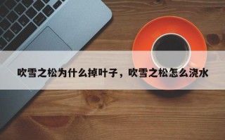 吹雪之松为什么掉叶子，吹雪之松怎么浇水
