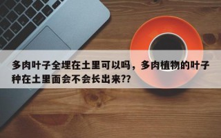 多肉叶子全埋在土里可以吗，多肉植物的叶子种在土里面会不会长出来?？