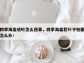 四季海棠枯叶怎么回事，四季海棠花叶子枯萎怎么办！