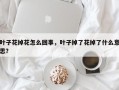 叶子花掉花怎么回事，叶子掉了花掉了什么意思？
