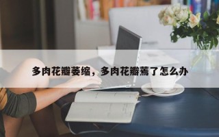多肉花瓣萎缩，多肉花瓣蔫了怎么办