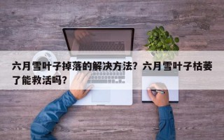 六月雪叶子掉落的解决方法？六月雪叶子枯萎了能救活吗？